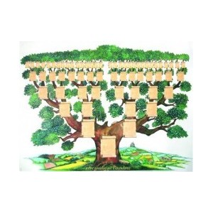 Arbre G&eacute;n&eacute;a'6