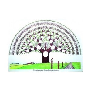 Arbre G&eacute;n&eacute;a&rsquo;8