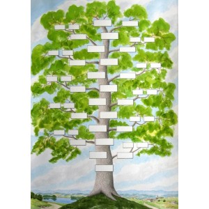 Arbre G&eacute;n&eacute;alogique Agnatique ou Cognatique 12 G&eacute;n&eacute;rations