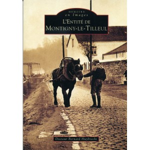 Montigny le Tilleul (l'entit&eacute; de)