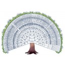 Arbre 8 g&eacute;n&eacute;rations