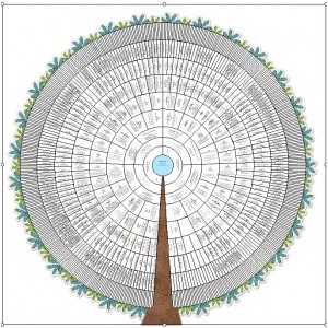 Arbre roue 10 g&eacute;n&eacute;rations