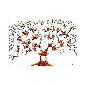 Arbre 5 g&eacute;n&eacute;rations - Parchemin