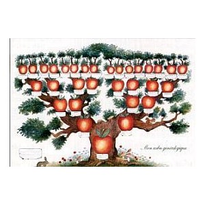 Arbre 5 g&eacute;n&eacute;rations - Pomme